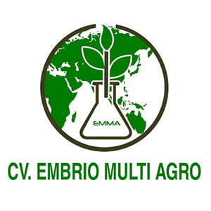 CV Embrio Multi Agro