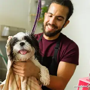 groomer crb