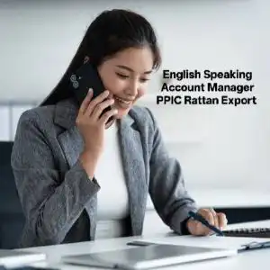 Lowongan kerja English Speaking PPIC & Account Manager 1 elements concep