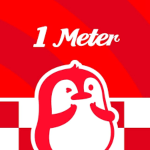 indonesia one meter